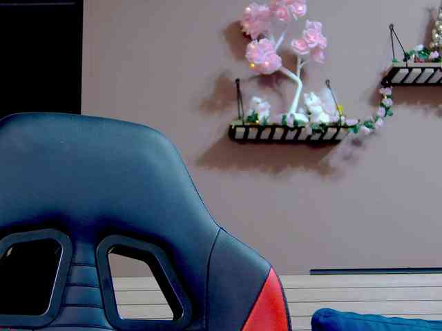 karo131324 karo131324