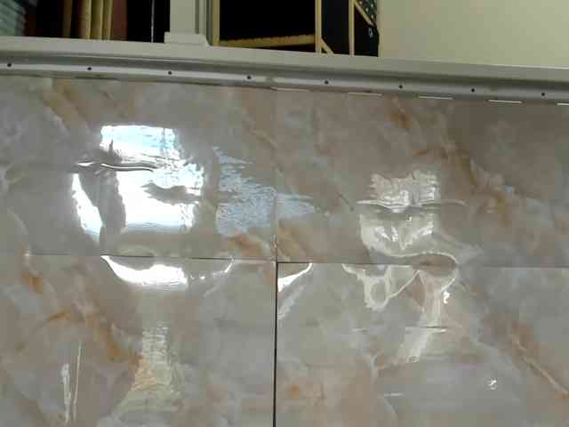 karo131324 karo131324