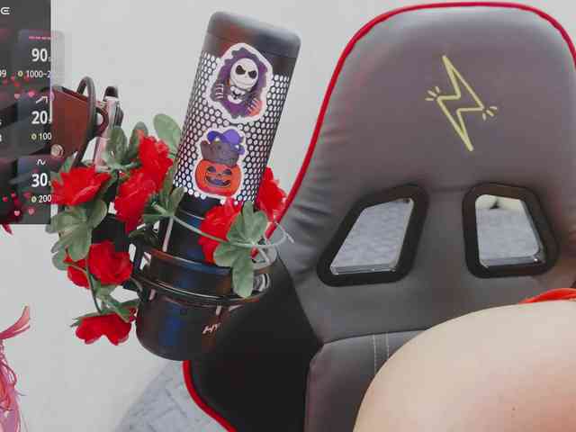 NekoTyan webcam