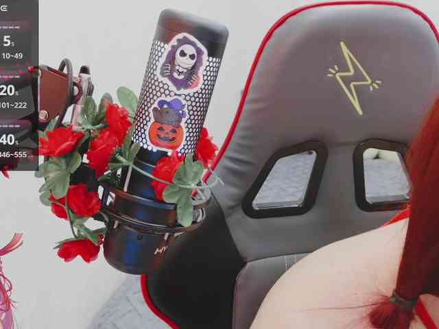 NekoTyan webcam