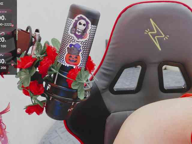 NekoTyan webcam