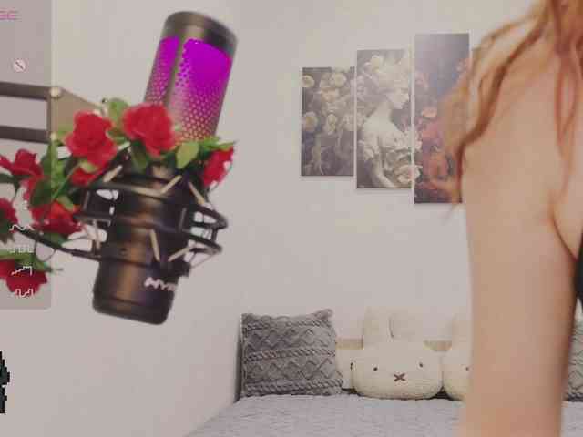 NekoTyan webcam