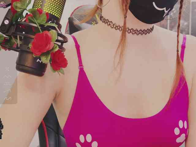 NekoTyan webcam