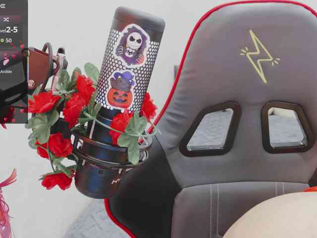NekoTyan webcam