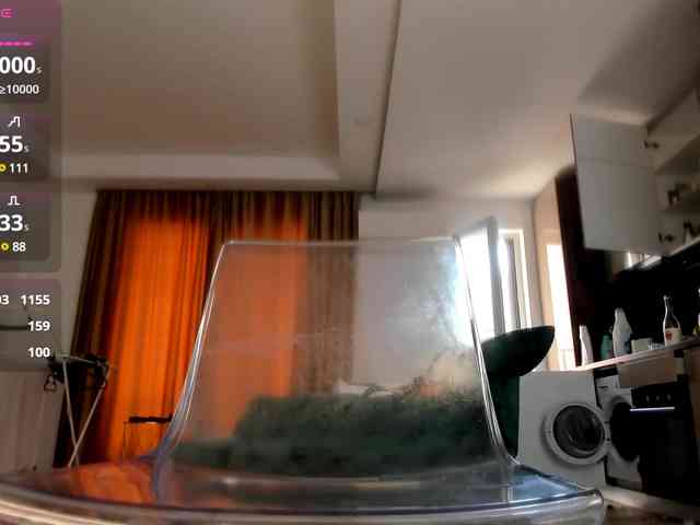 JustJeniffer webcam