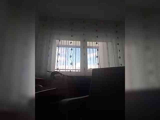 __COVID-19__ webcam