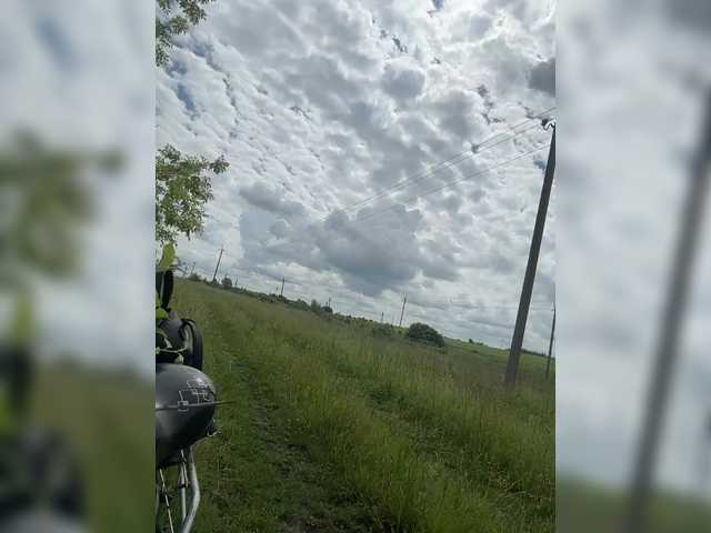 Saibaliii