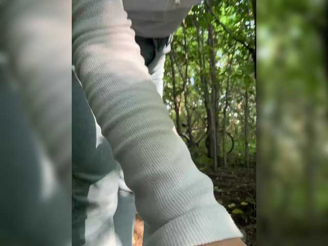 Saibaliii