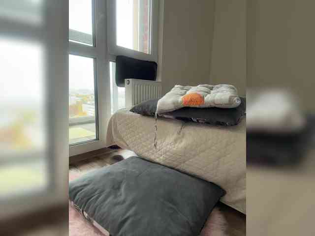 SSaibaliii webcam