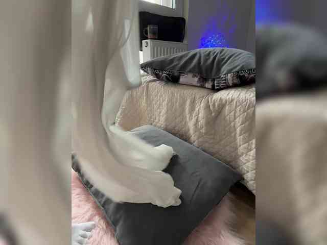 daddySgirl9's webcam live show