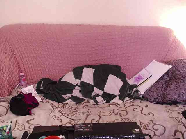 Apocalyptica webcam