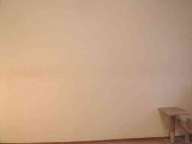 Apocalyptica webcam