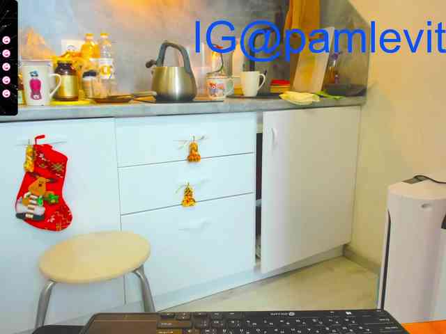 office_online_ webcam