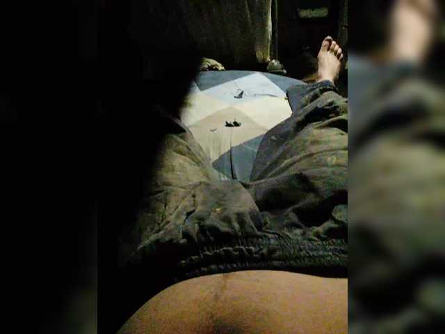 Rapa528