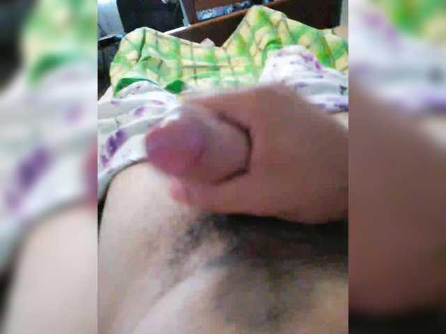 Rapa528