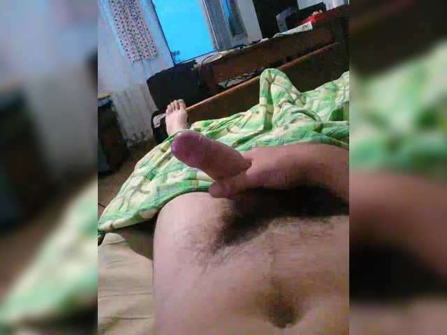 Rapa528