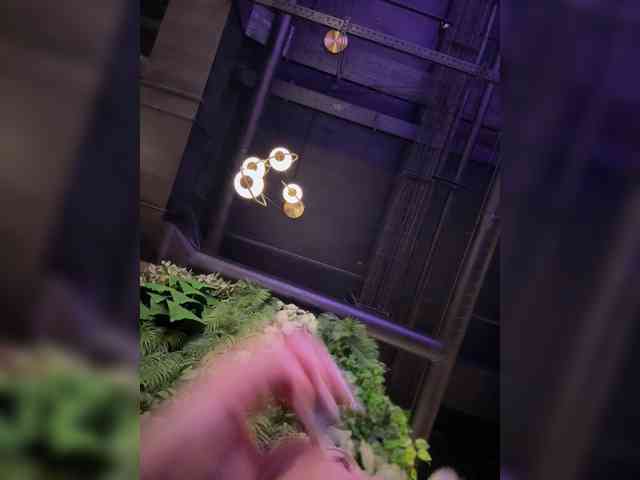 web cam nude PrettyKatea