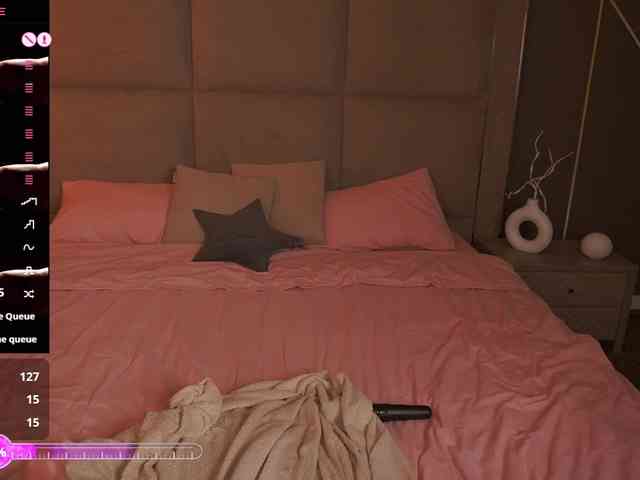MadissonSoft webcam