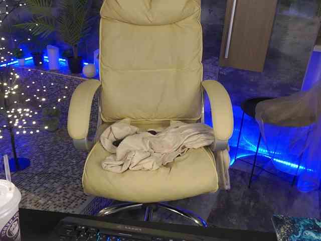 MadissonSoft MadissonSoft