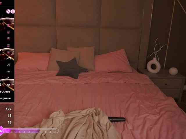 MadissonSoft webcam