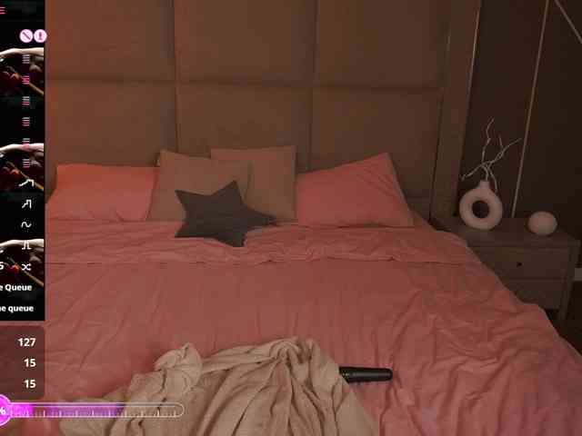 MadissonSoft webcam