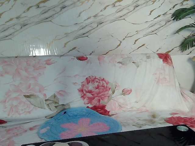 Preview of sexyasianass