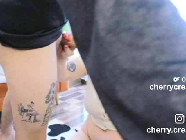 CherryAndAndy webcam