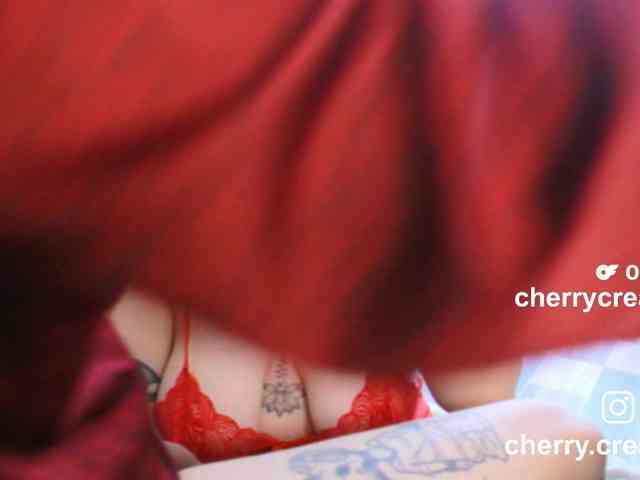 CherryAndAndy webcam