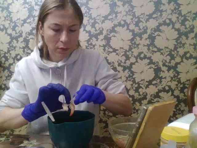 Boginechka Boginechka