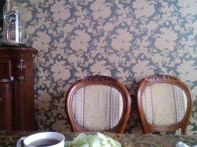 Smalldickshater webcam