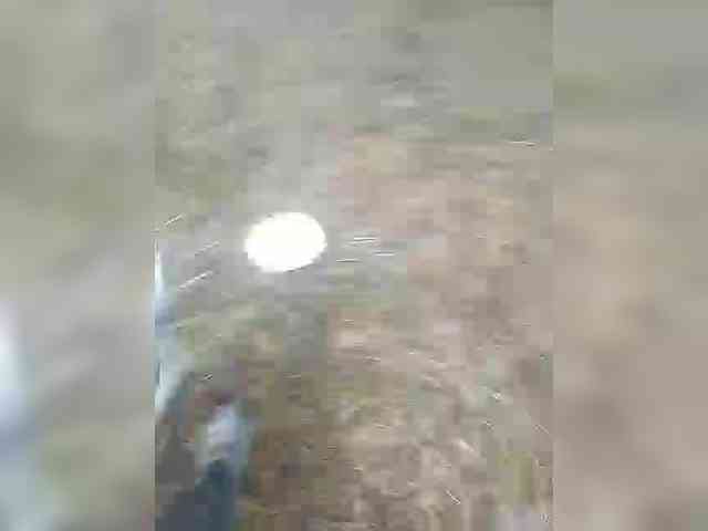 chevchev1995 chevchev1995