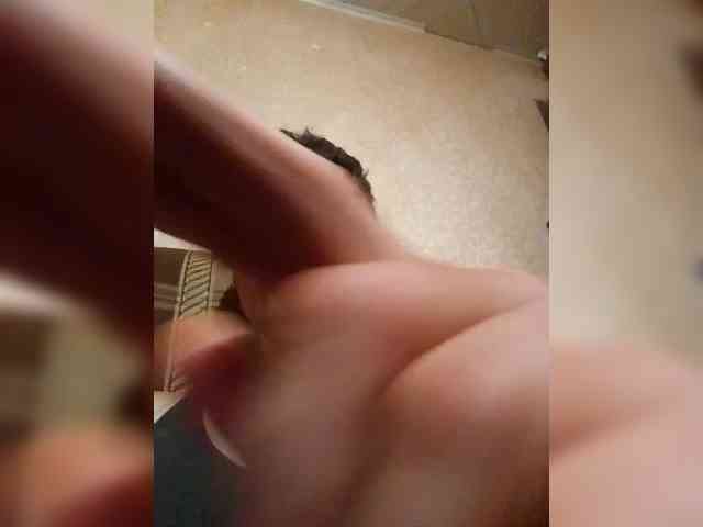 chevchev1995 chevchev1995