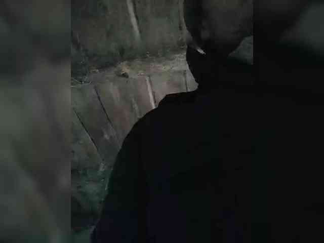 chevchev1995 chevchev1995