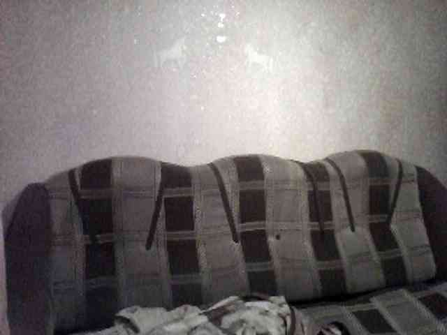 chevchev1995 chevchev1995