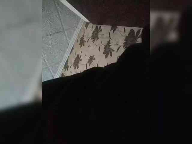 chevchev1995 chevchev1995