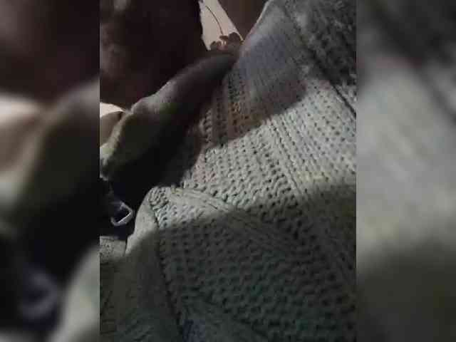 chevchev1995 chevchev1995