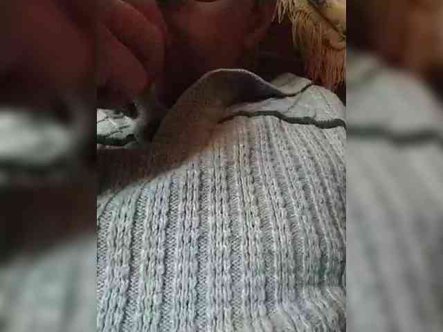 chevchev1995 chevchev1995