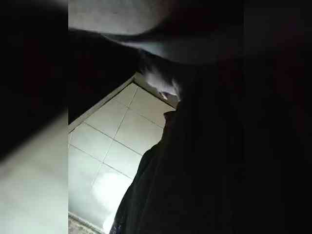 chevchev1995 chevchev1995