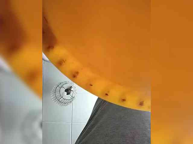 chevchev1995 chevchev1995