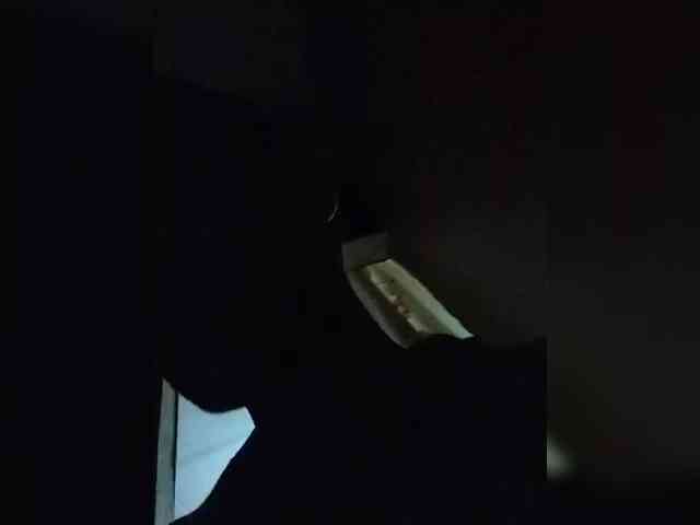 chevchev1995 chevchev1995