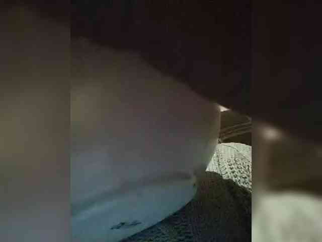 chevchev1995 chevchev1995