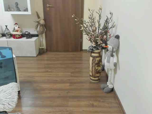 Catherinewils Catherinewils