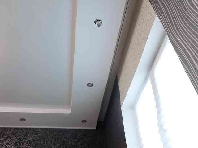 BlondieGirl BlondieGirl