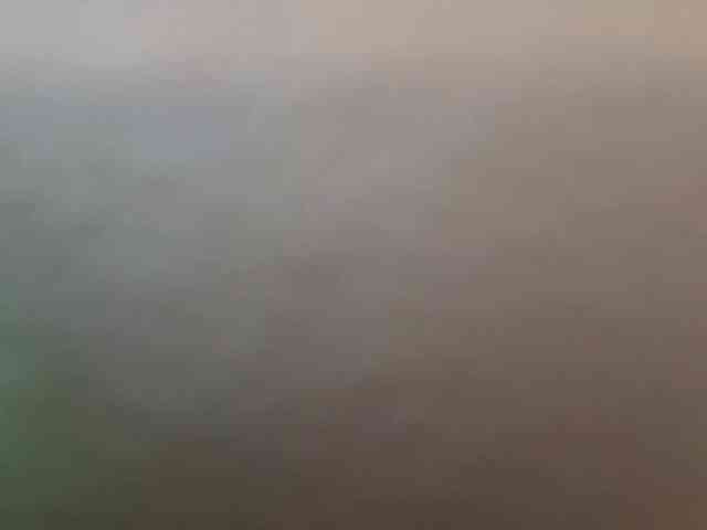 BlondieGirl BlondieGirl