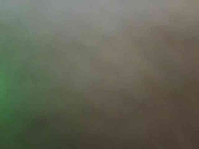 BlondieGirl BlondieGirl