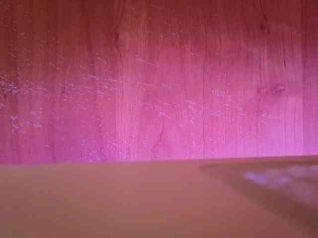 BlondieGirl BlondieGirl