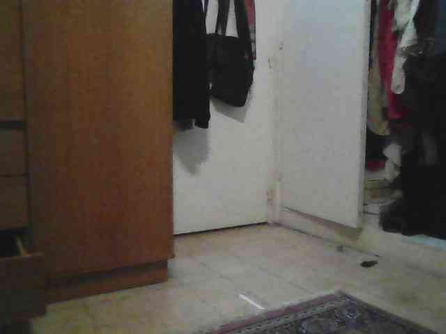 Cryptohorny Cryptohorny