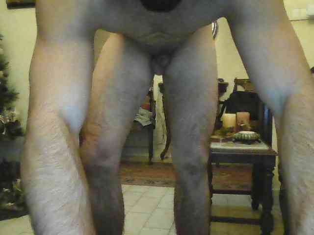 Cryptohorny Cryptohorny