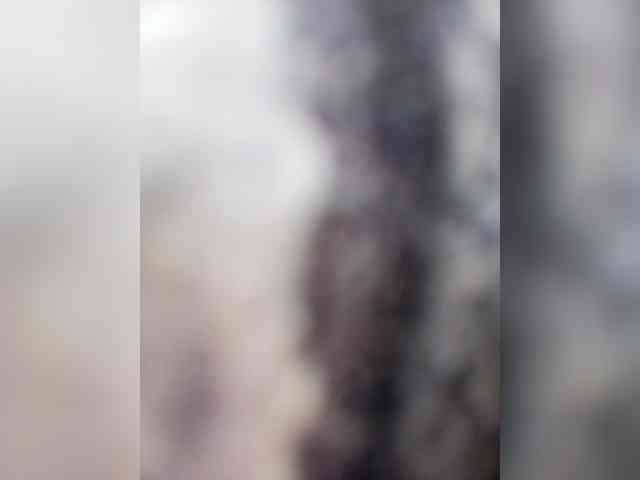 DianaBelouch webcam