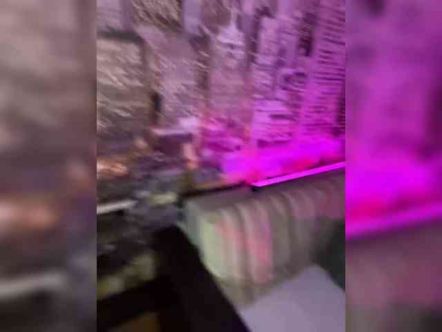 -YourPeachDream- webcam